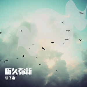 欧美喷水肛交TV
