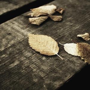 欧美喷水肛交TV
